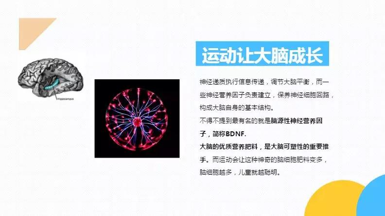 师讯 | 运动宝贝运动情景课10.0全国师资培训成功举办
