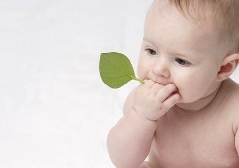宝宝哮喘如何调节饮食呢？家长需要划重点了解