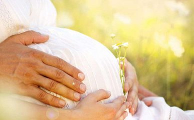 孕妇营养补充的黄金时间